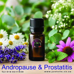 Andropause and prostatitis