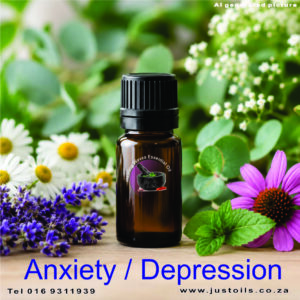 Anxiety / Depression