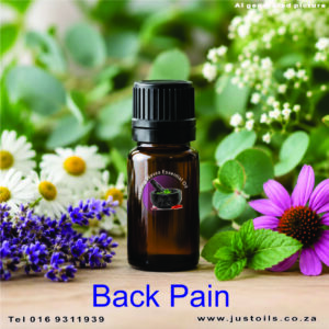 Back Pain blend A
