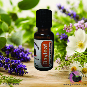Bayleaf Oil