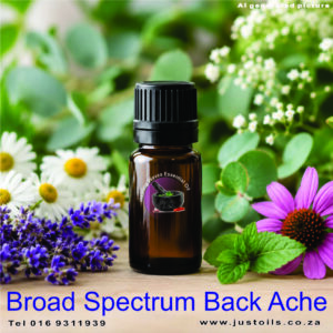 Broad spectrum back pain blend
