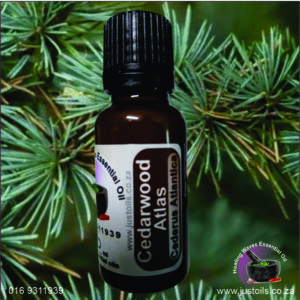 Cedarwood Atlas