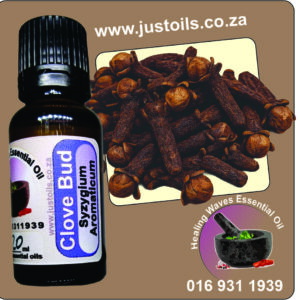 Clove Bud Organic