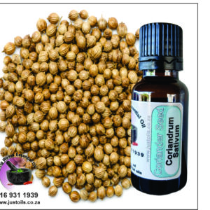 Coriander Seed