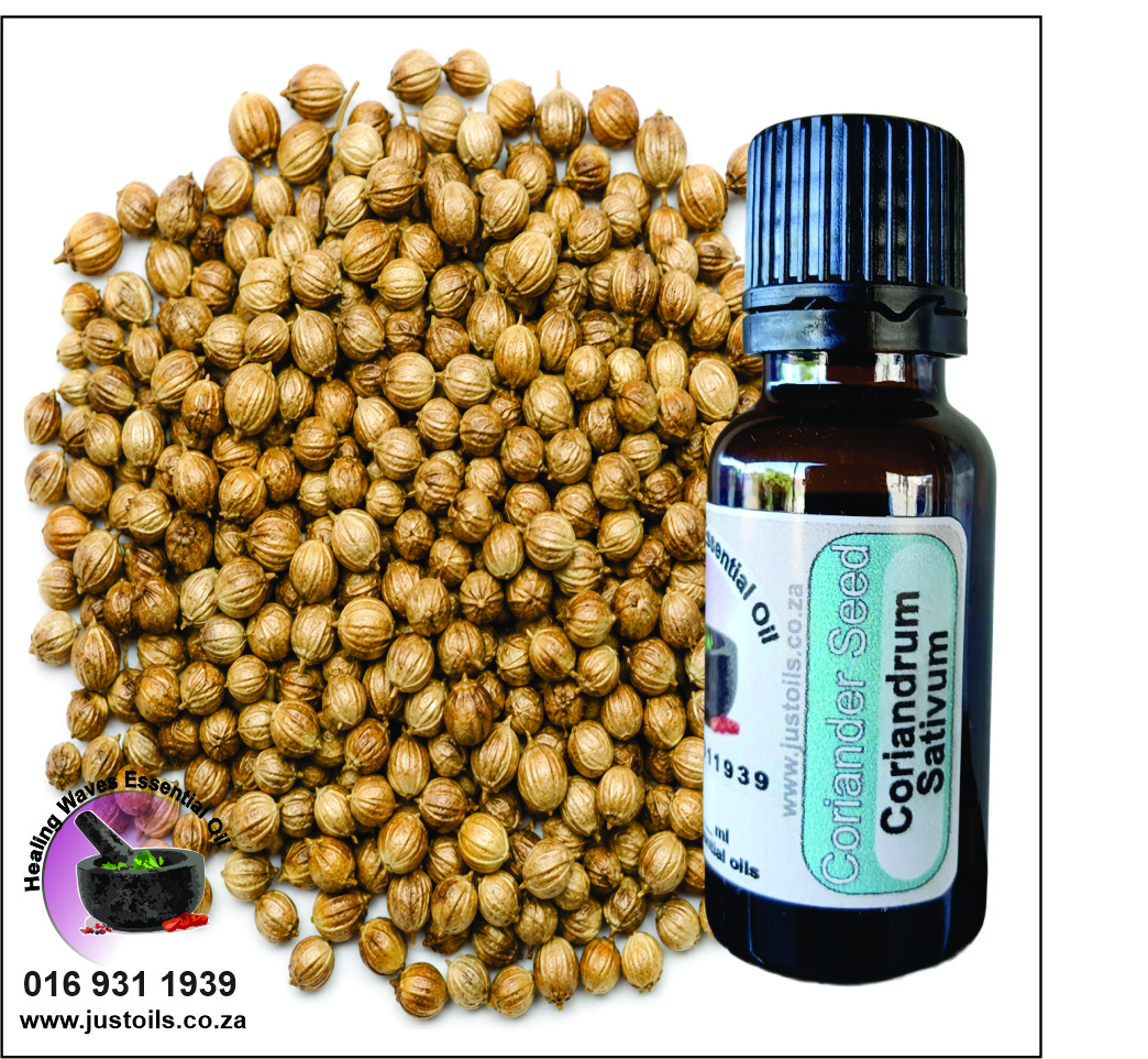 Coriander Seed