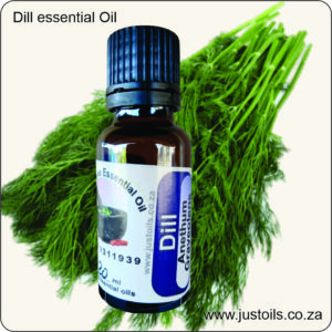 Dill