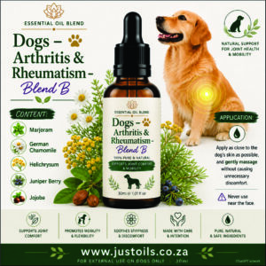 Dogs - Arthritis & Rheumatism Blend B