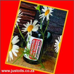 Chamomile PURE Roman