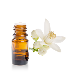 Sandalwood - Infused oil