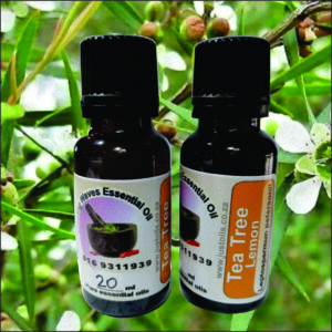 Tea Tree Lemon