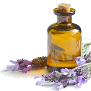 Lavender (Bulgarian Pure)