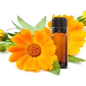 Calendula Infused