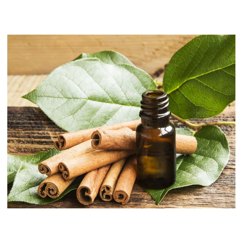 Cinnamon Leaf