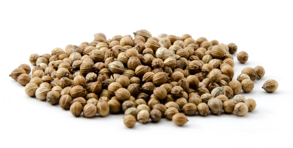 Coriander Seed Healing Waves Essential Oil