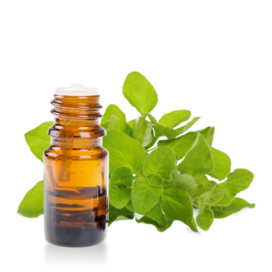 Oregano
