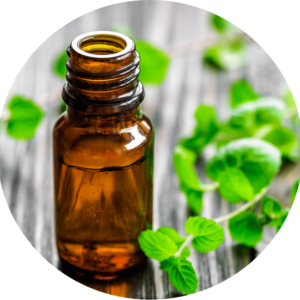 Peppermint Organic Essential Oil