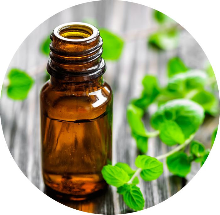 Peppermint Organic Essential Oil