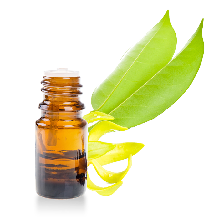 Ylang Ylang - Top grade 1